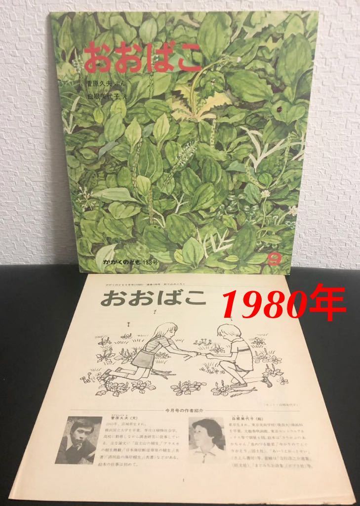 ◆当時物◆「おおばこ」かがくのとも 折り込み付録付き 菅原久夫 白根美代子 福音館 1980年 レトロ絵本拍卖