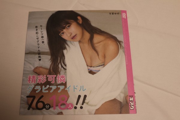 DVD 精彩可憐グラビアアイドル76分18人 甘夏ゆず 田中めい 高橋美憂 みのり 平崎里奈 ぷにたん 青科まき拍卖