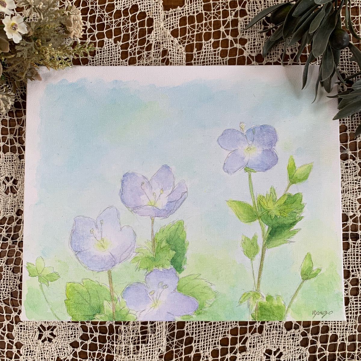 nyago 水彩画 オオイヌノフグリ 花 青 植物画 イラスト 絵 絵画 手描きイラスト オリジナル キャンバス 原画 画家 直筆 真作 美術 アート拍卖