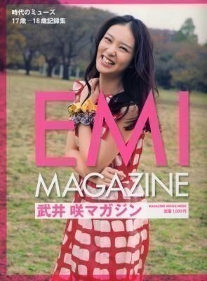 武井咲マガジン EMI MAGAZINE 時代のミューズ 17歳-18歳の記録集拍卖
