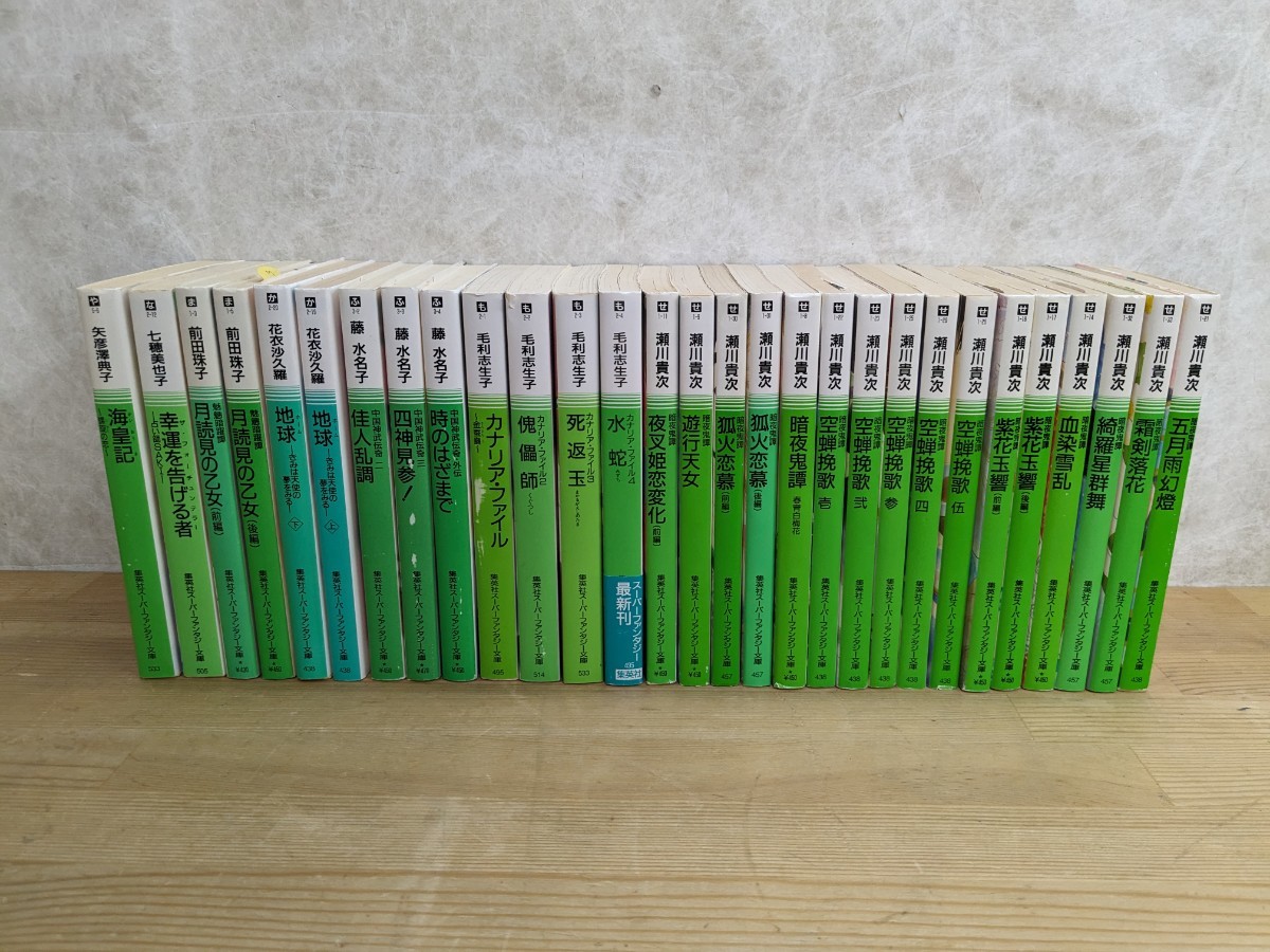 L44□『集英社ファンタジー文庫 29冊』暗夜鬼譚(瀬川貴次)/毛利志生子/藤水名子/花衣沙久羅/前田珠子/七穂美也子/矢彦澤典子 240223拍卖