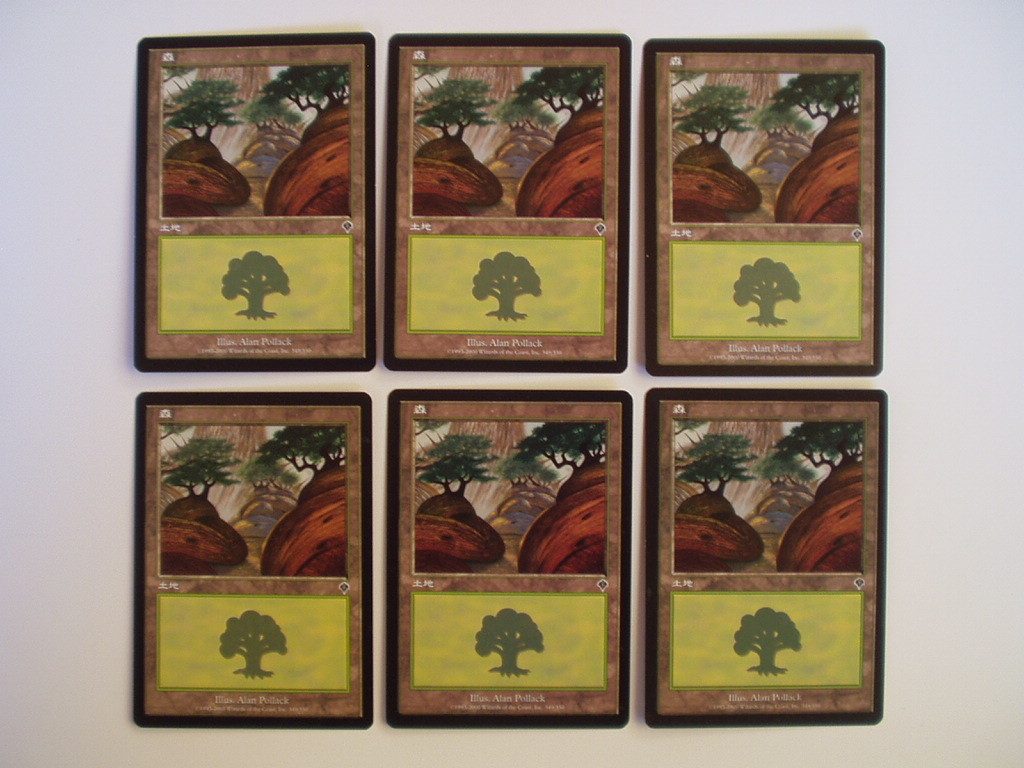 バイン 3 MTG INV インベイジョン 基本土地/基本地形 森 24枚拍卖