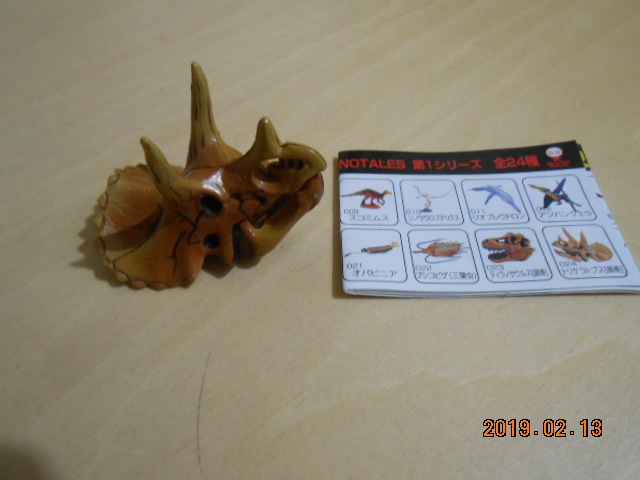 チョコラザウルス 24 トリケラトプス 頭骨 画像現状渡し UHA味覚糖拍卖