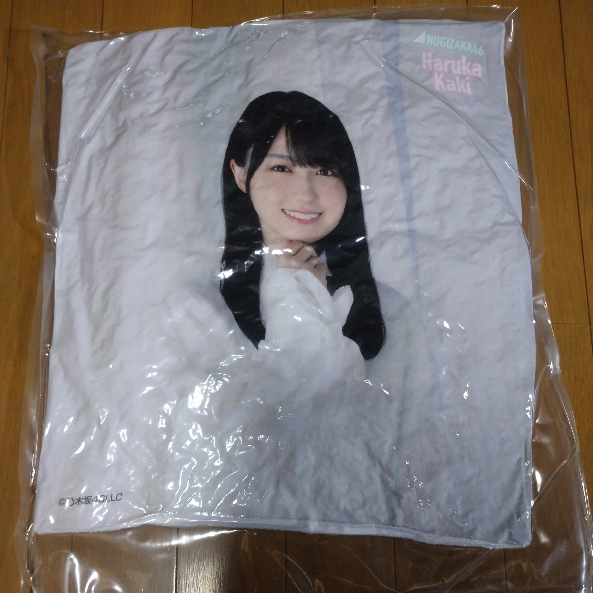 賀喜遥香 乃木坂46 2023年 福袋 B 福袋限定 メンバーデザイン個別クッション 新品未開封品 ラッキーバッグ lucky bag 即決拍卖