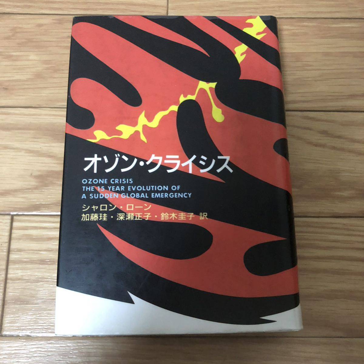 オゾン・クライシス シャロン・ローン著 加藤珪、深瀬正子、鈴木圭子訳 地人書館 リサイクル本 除籍本拍卖