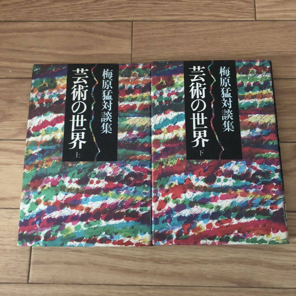 海原猛対談集 芸術の世界上下巻2冊セット 講談社 リサイクル本 除籍本拍卖