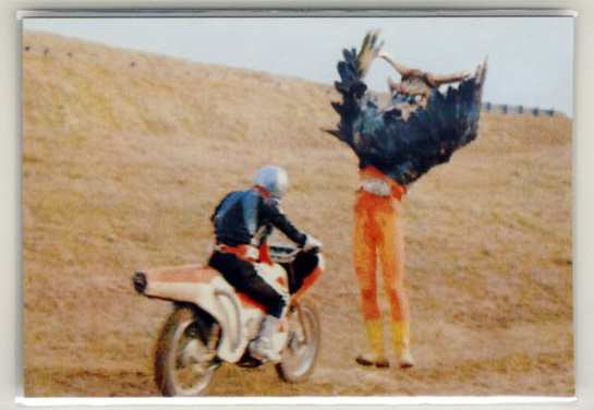 ◆防水対策 厚紙補強 カルビー 仮面ライダーチップスカード(2003 復刻版) 478番 ガラオックスとの戦い トレカ 即決拍卖