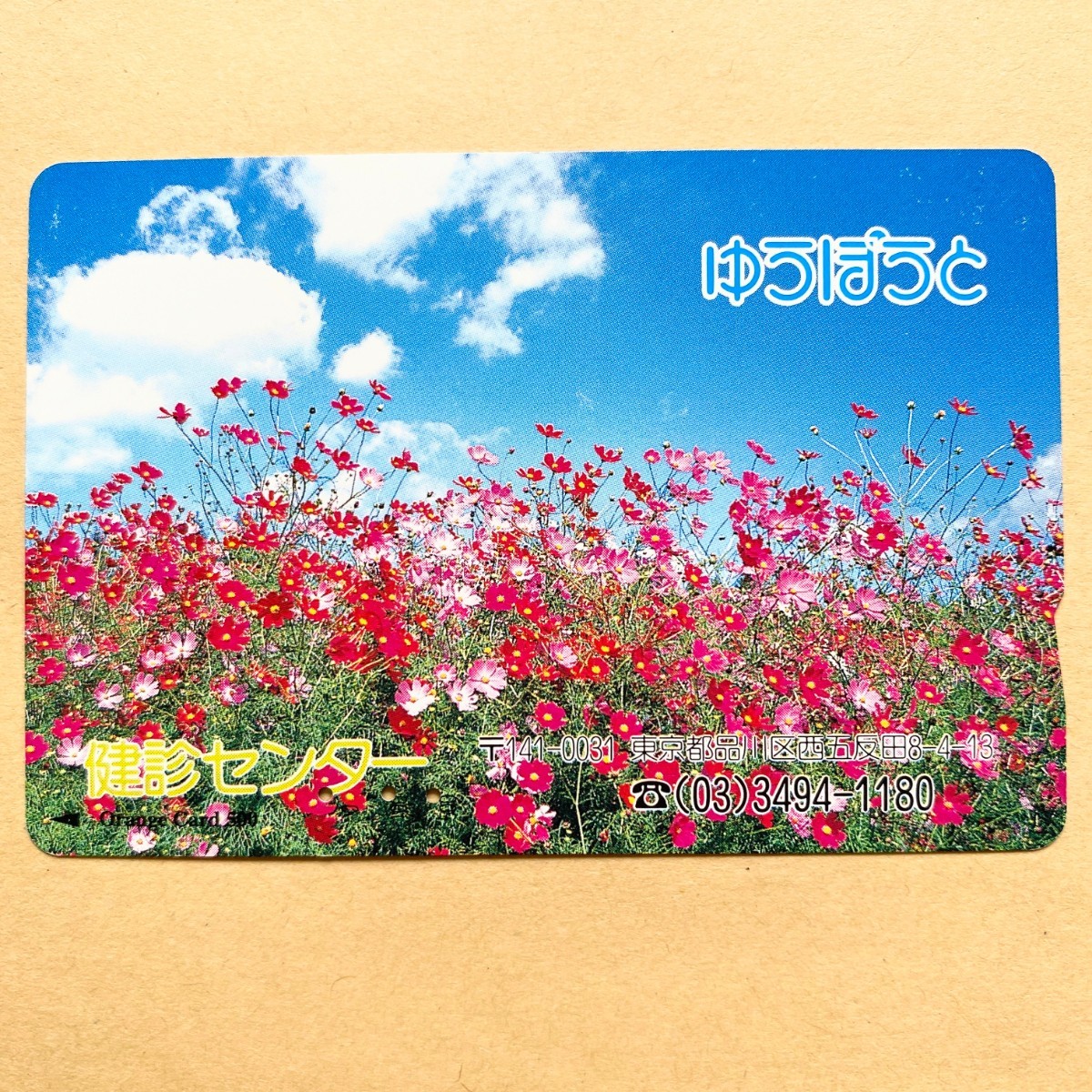 【使用済】 花オレンジカード JR東日本 ゆうぽうと 検診センター拍卖
