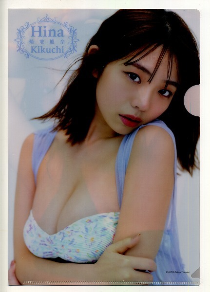 ヤングアニマル 2024年05号付録 菊地姫奈 クリアファイル拍卖