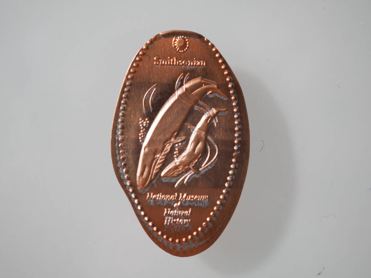 【ペニープレス スーベニアコイン スミソニアン アメリカ自然史博物館 Penny press Smithsonian Natural History Museum】拍卖