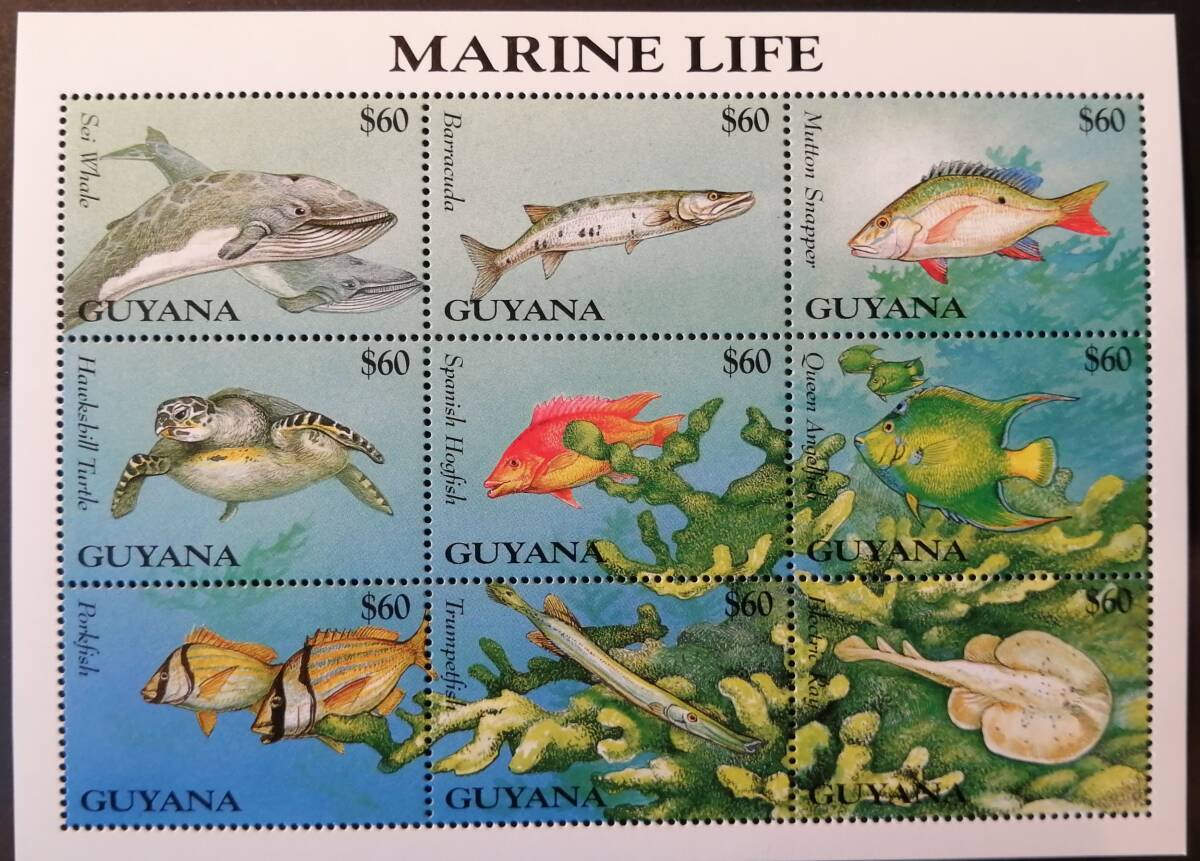ガイアナ 海洋生物(9種ミニシート) MNH拍卖