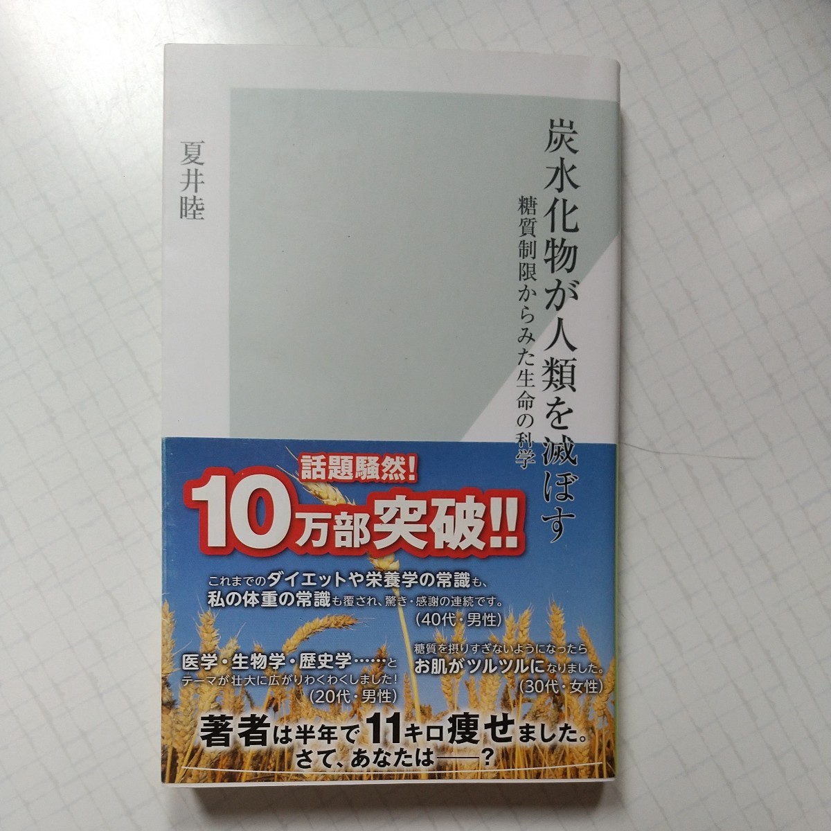炭水化物が人類を滅ぼす 糖質制限からみた生命の科学 夏井睦 光文社 ダイエット 低炭水化物 ローカーボ 食事参考書 減量 中古 美品 拍卖