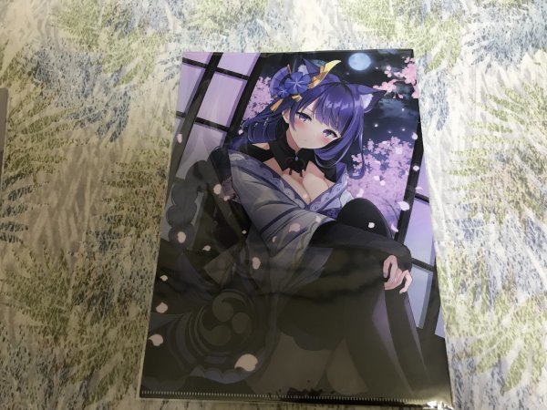 d253クリアファイル 原神 雷電将軍(ひゅらさん) C101/ZINFANDEL拍卖