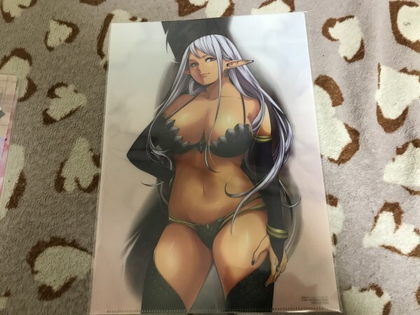 d067クリアファイル 終末のハーレム ファンタジア  とらのあな特典 宵野コタロー LINK SAVAN拍卖