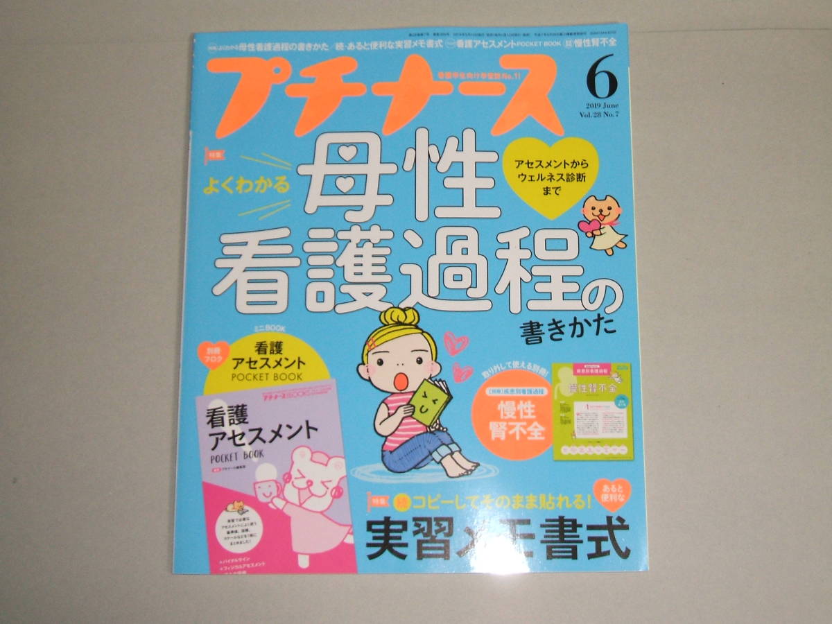 新品★プチナース 2019年6月号母性看護過程の書きかた/続・実習メモ書式/付録:看護アセスメントポケットBOOK拍卖