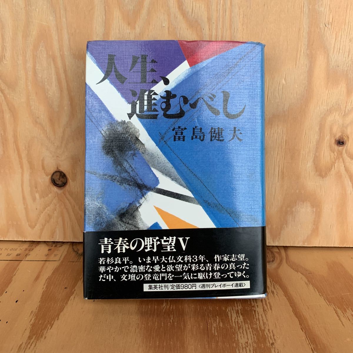 ☆えD‐190204 レア〔人生、進むべし 冨島健夫〕夜の露拍卖