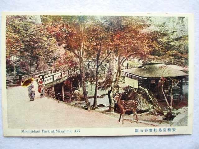 絵葉書 複製 光村出版部 広島 安藝宮島紅葉谷公園 鹿 カラー拍卖