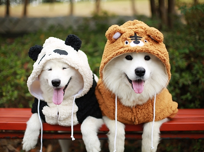 犬服 コート ペット服 冬 中大型犬 ドッグウエア 四足 防寒 厚い 可愛い 柔らかい お散歩 お出かけ X834拍卖