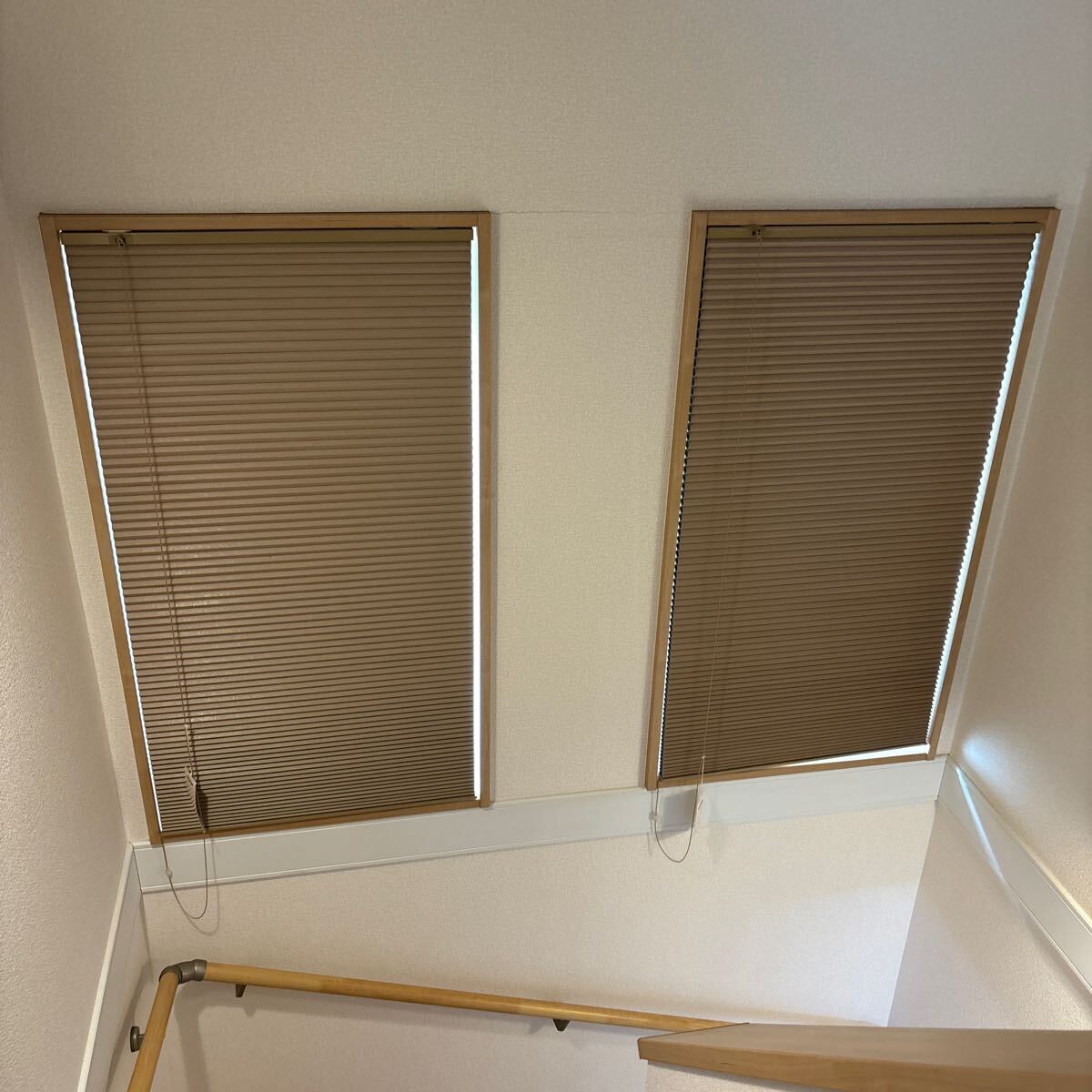 株式会社フルネス ハニカムシェード スクリーン 日除 暖冷房効率アップ W59H110 cm 2個セット拍卖