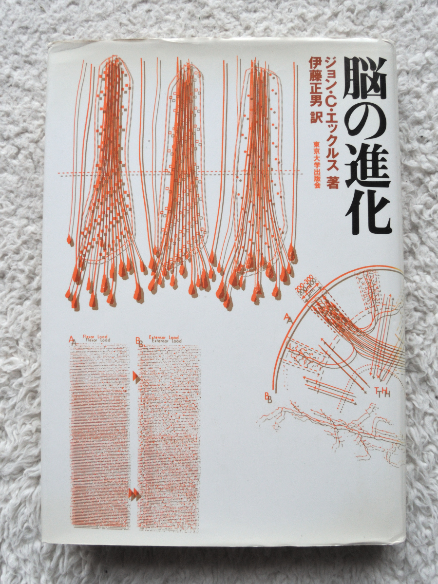 脳の進化 (東京大学出版会) ジョン・C・エックルス、伊藤 正男訳拍卖