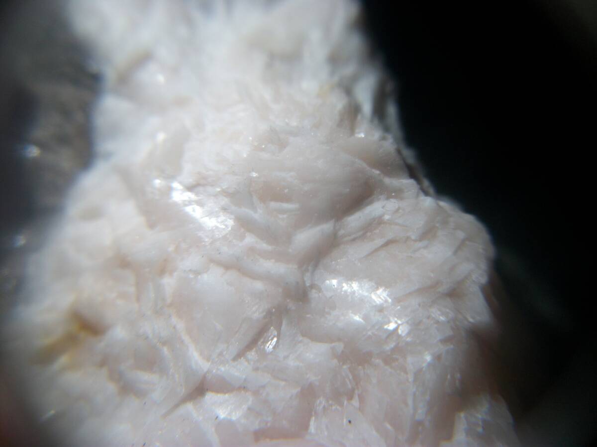 アメリカ モンタナ州 ロードクロサイト 菱マンガン鉱 ピンクの花弁 良標本 定型外発送拍卖