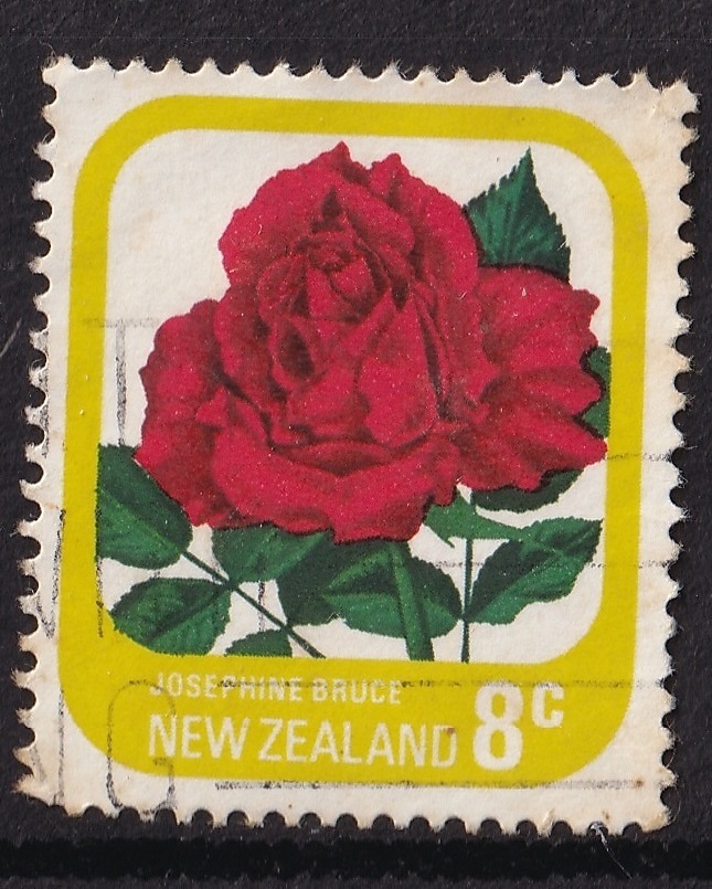 1979年頃/ニュージーランド/外国切手1枚セット/薔薇 バラ 花 ジョセフィンブルース/8c/NEWZEALAND JOSEPHINE BRUCE拍卖