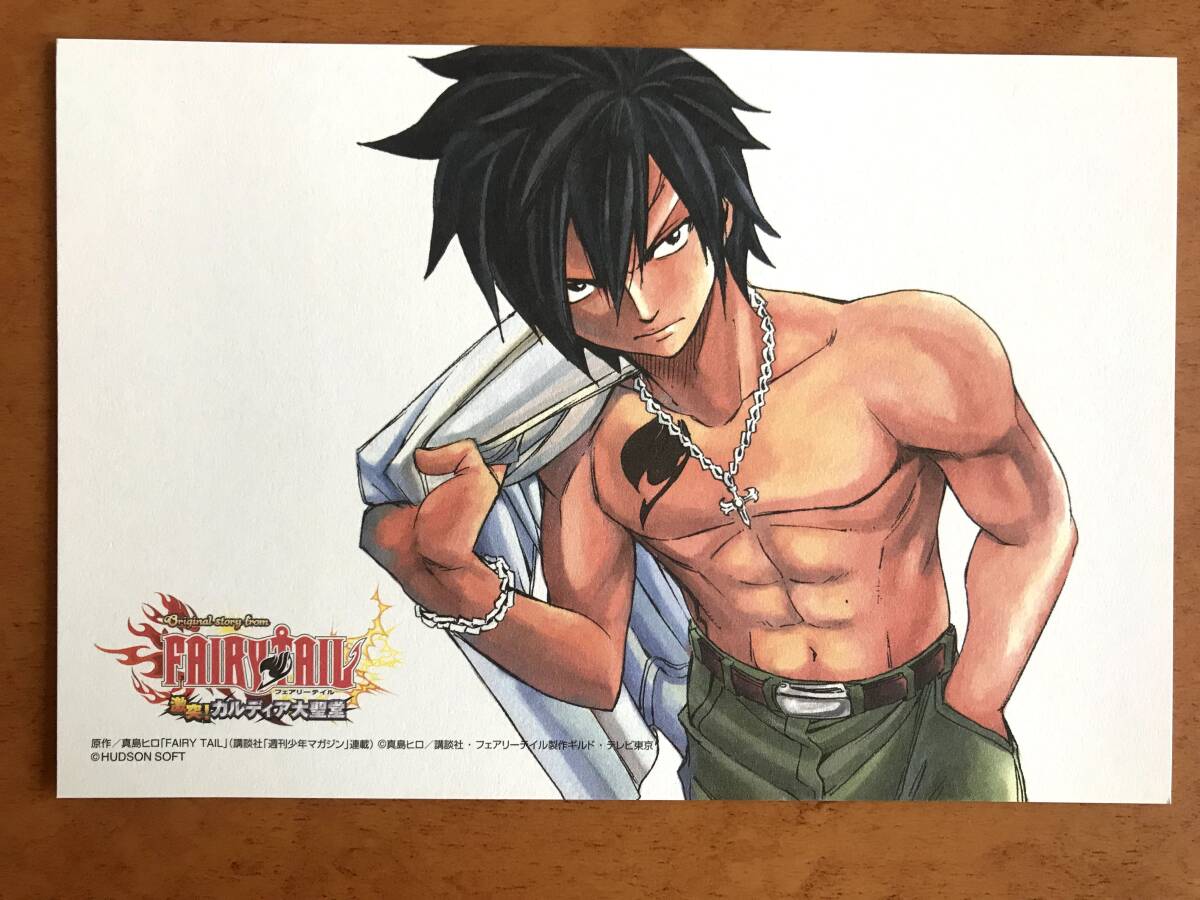 【2024.3】 フェアリーテイル グレイ ポストカード ★ FAIRY TAIL 【条件付き送料無料】拍卖