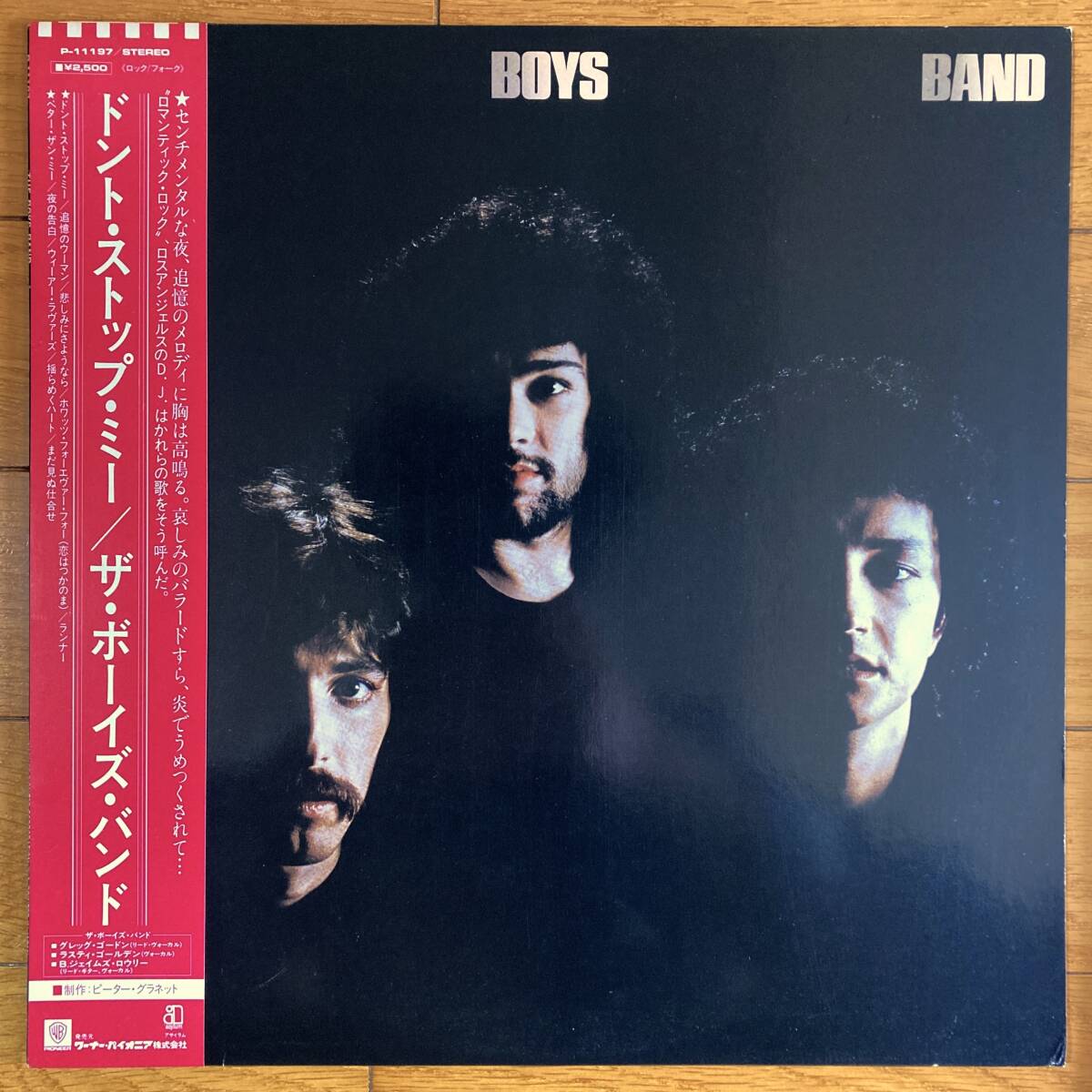 ■ザ・ボーイズ・バンド■ドント・ストップ・ミー■The Boys Band■P-11197■AOR■帯拍卖