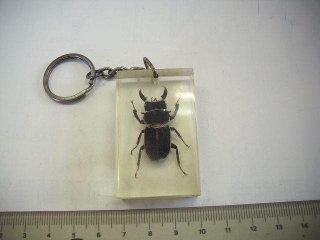 キーホルダー ■ くわがた型■/#4610拍卖