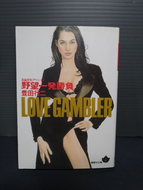 即決美品 1996年初版 野望一発勝負 (青樹社文庫) 豊田行二/著 送料208円 官能 痛快ロマン拍卖