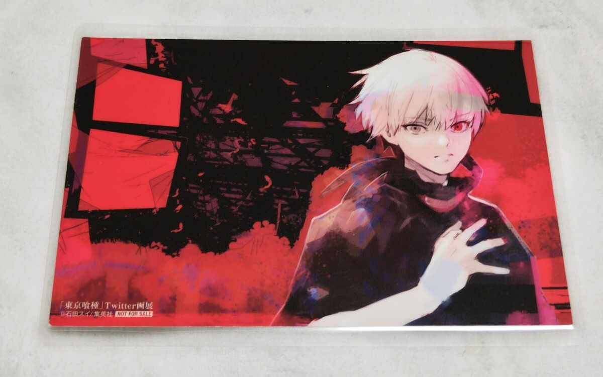 ♪『東京喰種』♪Twitter画展♪イラストカード♪金木研♪ラミネート加工済み(説明欄必欄)♪石田スイ♪拍卖