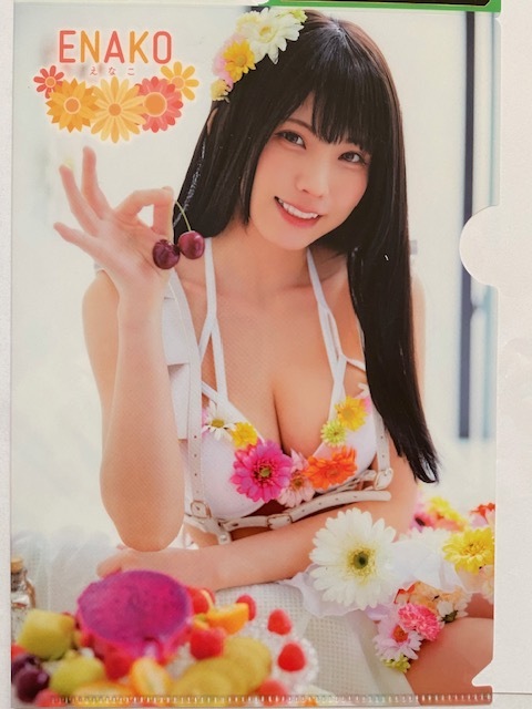 ◆即決◆ えなこ クリアファイル 74拍卖