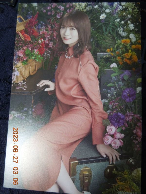 秋元真夏 ポストカード / 乃木坂46 / フォトカード拍卖