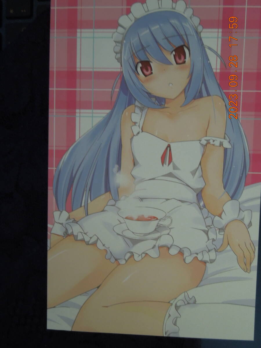 神のみぞ知るセカイ 大判ポストカード ⑮ / 若木民喜 非売品 イラストカード拍卖