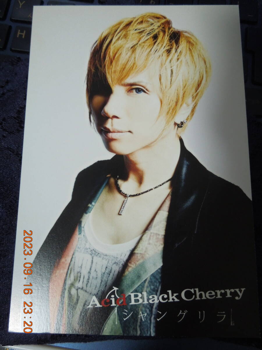 Acid Black Cherry ポストカード ⑦ / yasu Janne Da Arc / シャングリラ / フォトカード拍卖