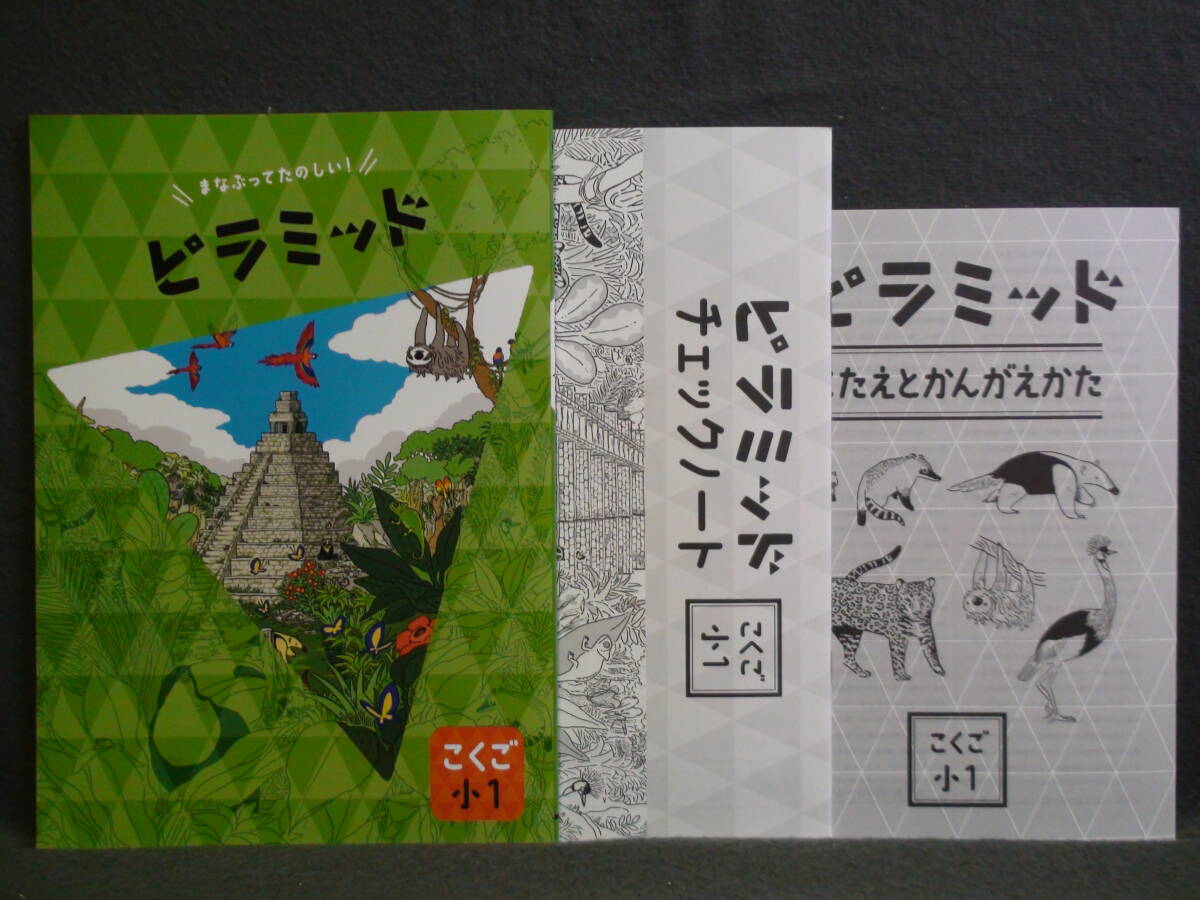 ★ 即発送 ★ 新品 最新版 ピラミッド 国語 小1 解答・確認テスト付 1年 こくご拍卖