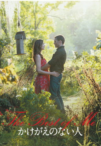 『かけがえのない人』映画パンフレット・B5/ミシェル・モナハン、ジェームズ・マースデン拍卖