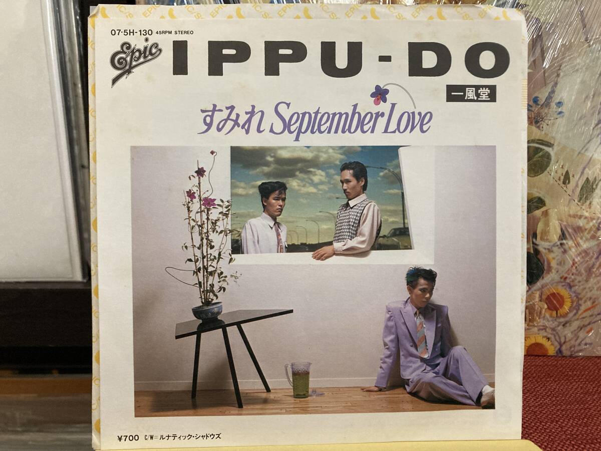 【7インチ】一風堂 ☆ すみれ September Love c/w ルナティック・シャドウズ 82年 Epic 国内盤 アナログ 土屋昌巳 オリコン2位 良音拍卖