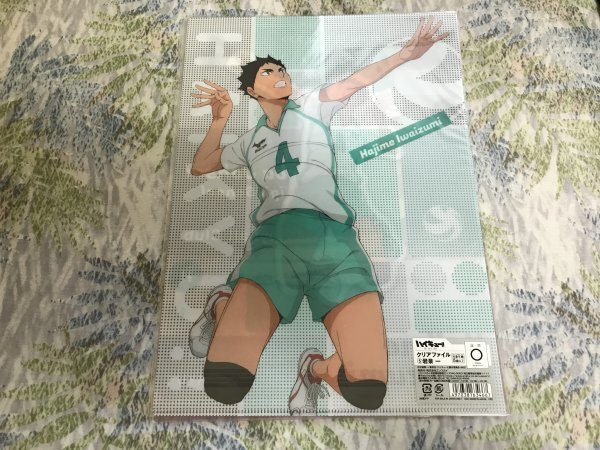 229クリアファイル ハイキュー!! TO THE TOP エンスカイ 青葉城西  岩泉 一拍卖