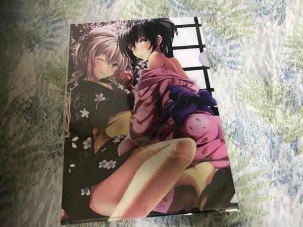 209クリアファイル 遥華ナツキ /EVANGEL 特典拍卖
