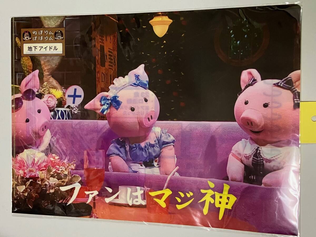 新品未使用★未開封 NHKねほりんぱほりん A4クリアファイル 地下アイドル 師岡とおる 子豚拍卖