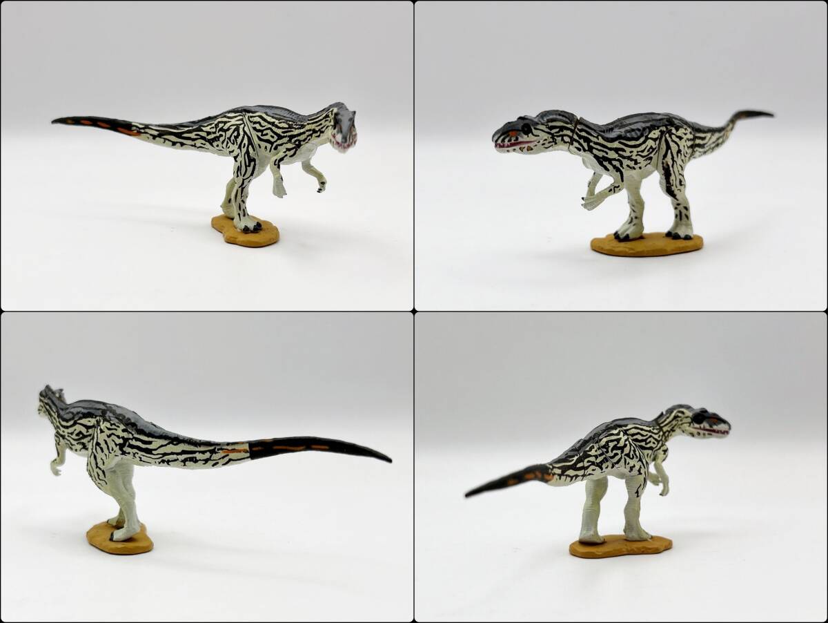 〓海洋堂〓ダイノテイルズシリーズ2 公式ファンブック付録 限定着色 フィギュア Limited アロサウルス 白拍卖