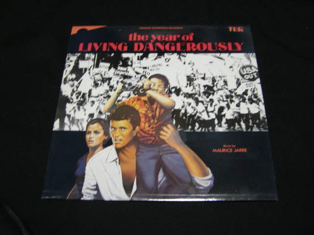 ***危険な年***の12インチLPレコード拍卖