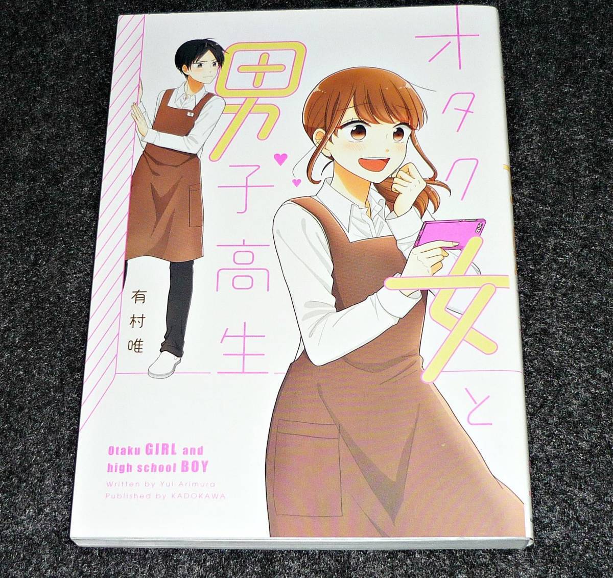 オタク女と男子高生 (PIXIV ESSAY COMIC) ★ 有村 唯 (著) 【020】拍卖