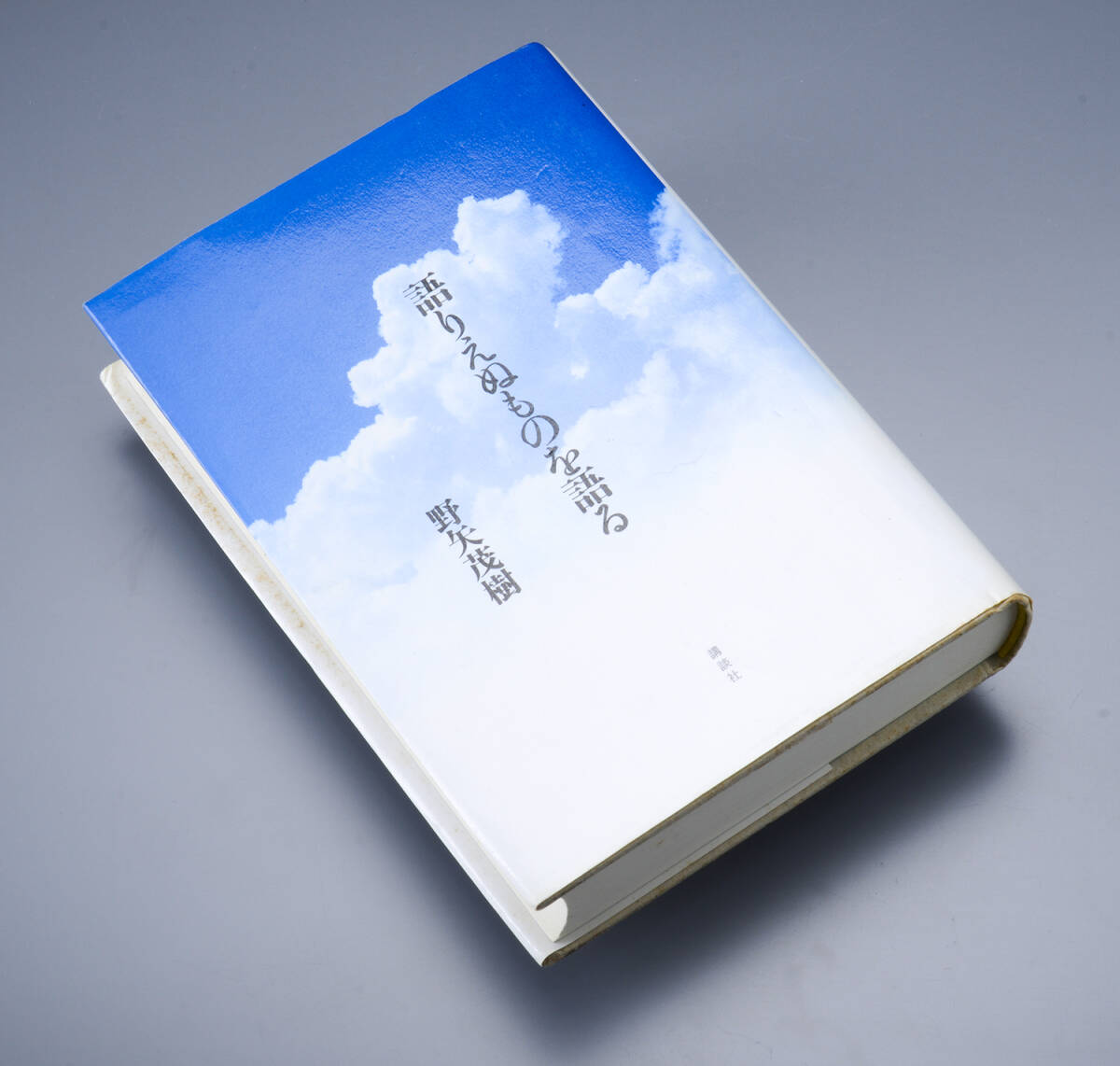 語りえぬものを語る  野矢茂樹 2011年拍卖