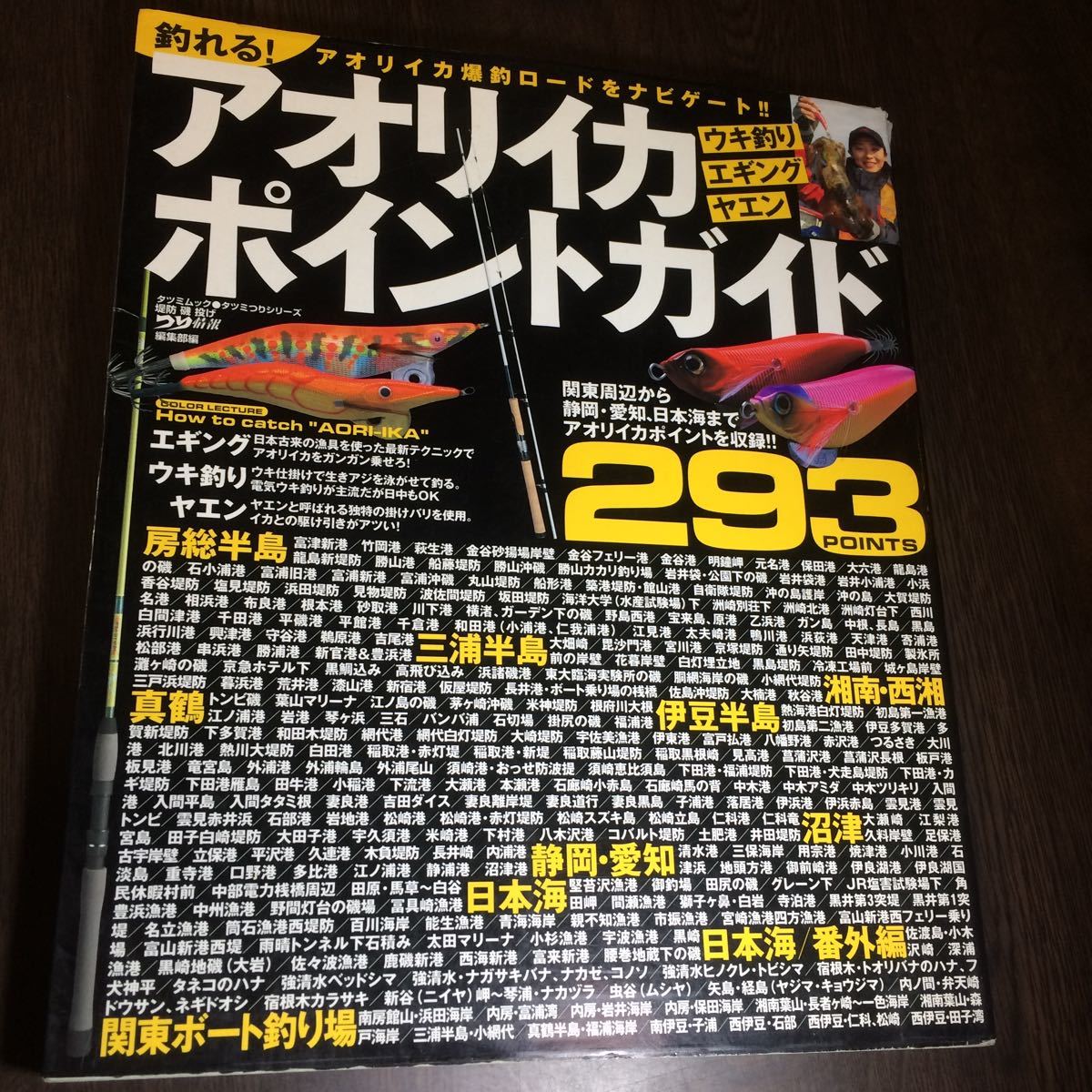 ★☆ 釣れる アオリイカポイントガイド 釣り場 関東周辺 静岡 神奈川 新潟 千葉 愛知 ボートエギング 293 ポイント ☆★拍卖