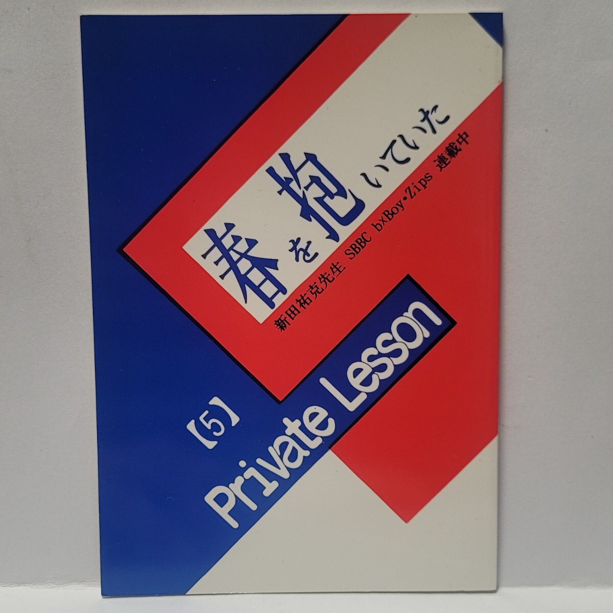 春を抱いていた 同人誌 Private Lesson (5) 結城一美/昼下がりのぶぶ漬け / 小説 BL拍卖