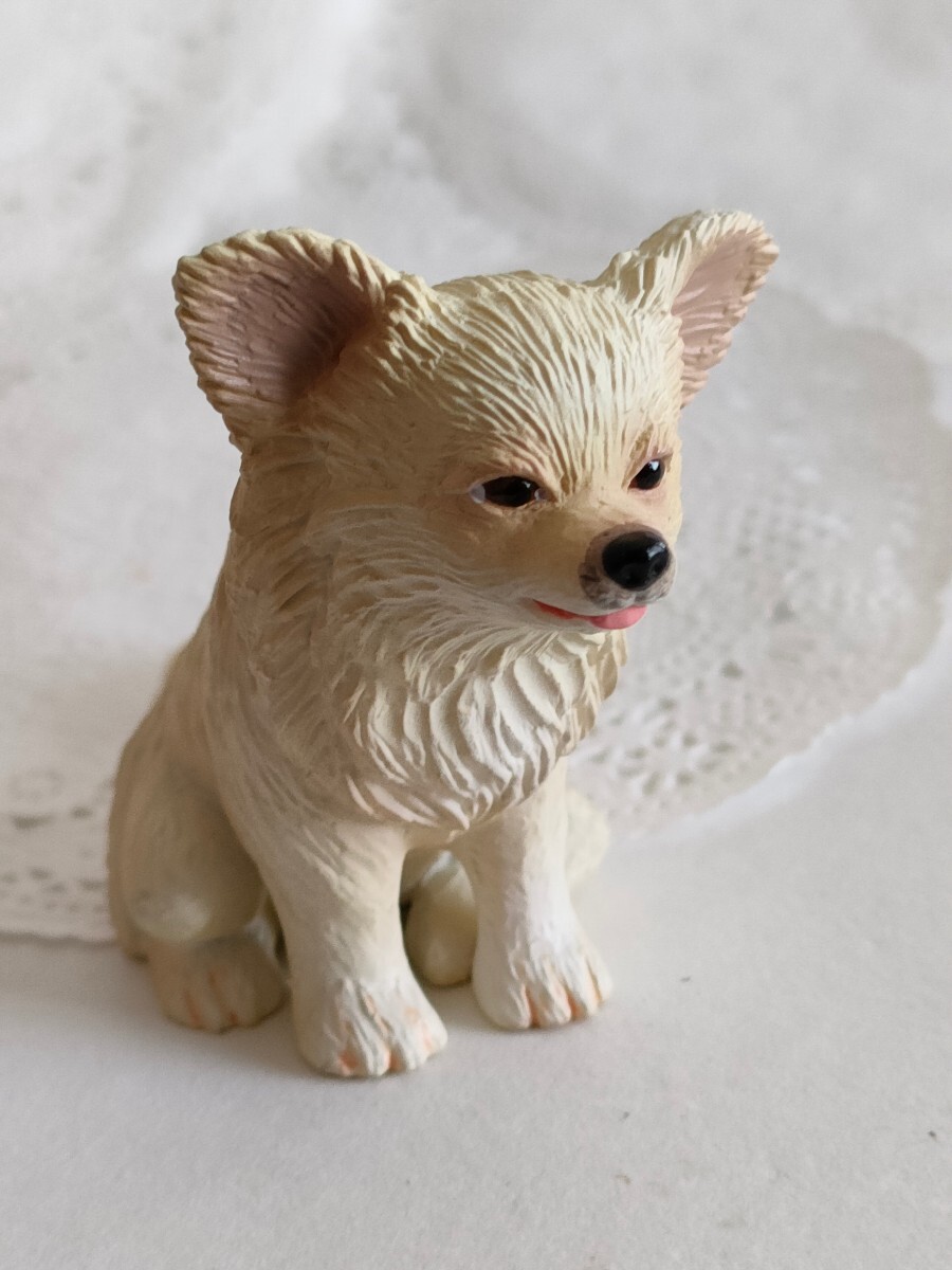 4r321 ドール用 ペット 犬 ミニチュア 白 ベージュ チワワ momoko バービー ジェニー ピュアニーモ リカちゃん ブライス 1/6ドール拍卖
