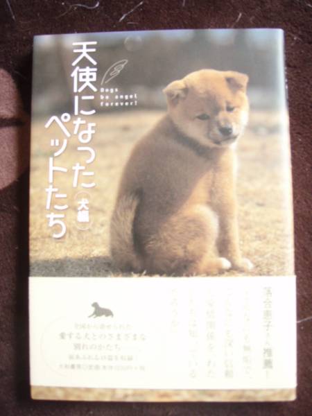 天使になったペットたち(犬編)拍卖