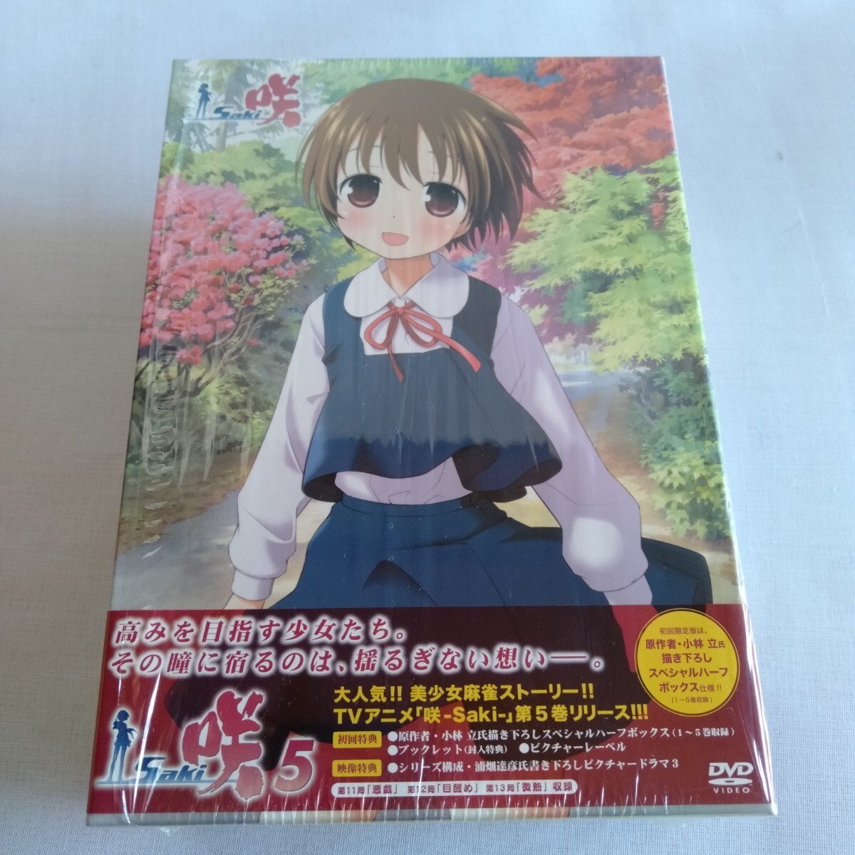 A040 咲-Saki 1/2/3/4/5 DVD スペシャルハーフボックス 初回限定版拍卖